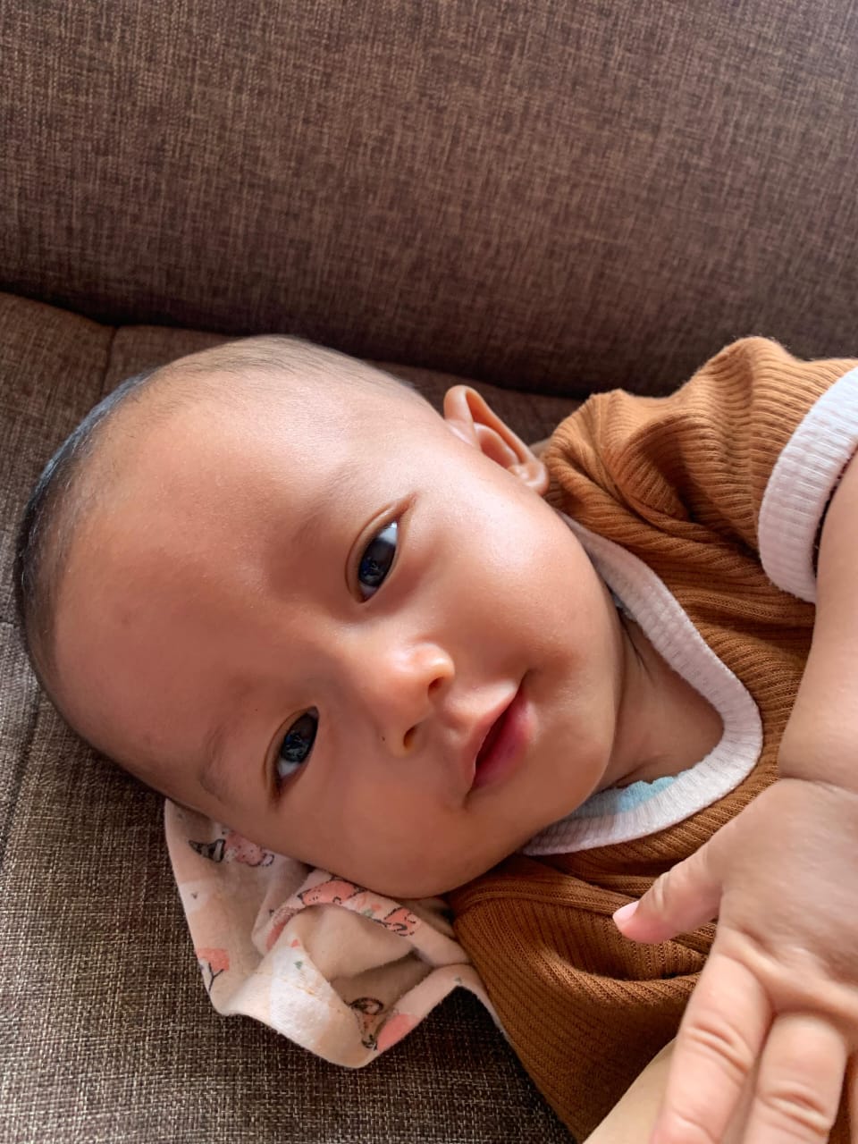 WhatsApp Image 2025-10-20 at 14.29.44